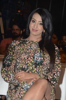 South Indian actress Sanjjanaa Archana Galrani spotted at Rogue audio launch.