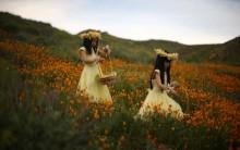 Julia Lu, 5, (L) and Amy Liu, 5, walk through a massive spring wildflower bloom caused by a wet winter in Lake Elsinore, California.