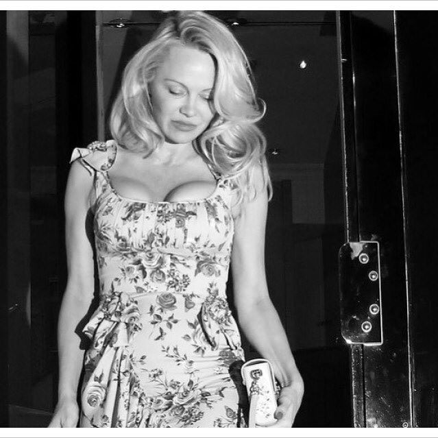 Hollywood actress Pamela Anderson stars in new lingerie ad for Coco de Mer. Pamela Anderson,Pamela Anderson lingerie,Pamela Anderson lingerie ad,Pamela Anderson in Coco de Mer,Pamela Anderson hot pics,Pamela Anderson hot images,Pamela Anderson hot photos,.Pamela Anderson hot stills,Pamela Anderson hot pictures