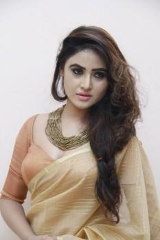 Check out the latest pictures of South Indian actress Sony Charishta.