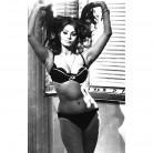 Check out Pamela Anderson's raunchy pictures.