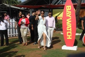 Priyanka Chopra,actress Priyanka Chopra,Baywatch press conference,Baywatch,Baywatch press conference pics,Baywatch press conference images,Baywatch press conference stills,Baywatch press conference pictures,Priyanka Chopra pics,Priyanka Chopra images,Priy