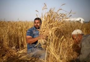 Disabled Palestinian,Palestinian Louy al-Najar,Louy al-Najar,potential employers