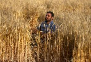 Disabled Palestinian,Palestinian Louy al-Najar,Louy al-Najar,potential employers
