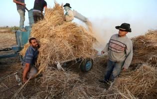Disabled Palestinian,Palestinian Louy al-Najar,Louy al-Najar,potential employers