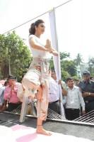 Shilpa Shetty,Shilpa Shetty unveils Yoga statue,Shilpa Shetty Yoga statue,Yoga statue,Shilpa Shetty yoga,Shilpa Shetty hot pics,Shilpa Shetty hot images,Shilpa Shetty hot stills,Shilpa Shetty hot pictures,Shilpa Shetty hot photos