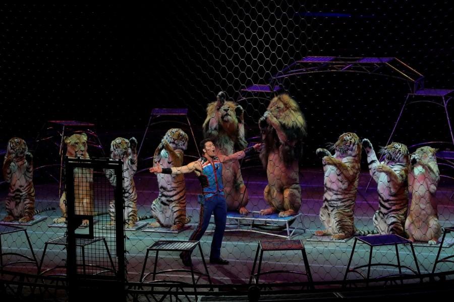 Big cat trainer Alexander Lacey performs during a show on the last day of the Ringling Bros. and Barnum & Bailey circus at Nassau Coliseum in Uniondale, New York. Curtain closes on Ringling Brothers circus,Ringling Brothers circus,Ringling Bros and Barnum & Bailey Circus