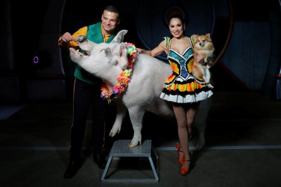Animal trainers Hans and Mary Klose pose with their animals for a portrait before taking part in the last weekend of the Ringling Bros. and Barnum & Bailey circus at Nassau Coliseum in Uniondale, New York. Curtain closes on Ringling Brothers circus,Ringling Brothers circus,Ringling Bros and Barnum & Bailey Circus