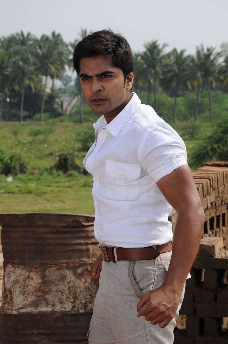 Simbhu at Timmiri Movie Timmiri stills,Timmiri 2015,Timmiri Movie Stills,Timmiri latest photos,Timmiri Latest images,Timmiri latest updates,Images of Timmiri,Pictures of Timmiri,Simbu 's Timmiri,Mallika sherawat new movie