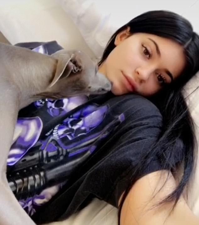 Kylie Jenner,Kylie Jenner bikini pics,Kylie Jenner bikini images,Kylie Jenner bikini stills,Kylie Jenner curves,Kylie Jenner curves pics,Kylie Jenner flaunts curves,Kylie Jenner hot pics,Kylie Jenner hot images,Kylie Jenner hot stills,Kylie Jenner hot pic