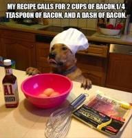 Funny Dog Pictures,Funny dog photos,Funny dog images,Funny pictures,cute dog pictures,Latest funny dog photos