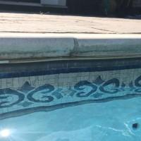 Gemma Collins,Gemma Collins bikini pics,Gemma Collins bikini images,Gemma Collins bikini stills,Gemma Collins curves,Gemma Collins curves pics,Gemma Collins flaunts curves,Gemma Collins hot pics,Gemma Collins hot images,Gemma Collins hot stills,Gemma Coll