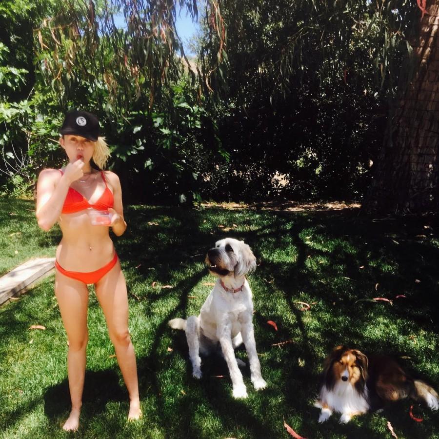 Bikini-clad Miley Ray Cyrus looks stunning as she celebrates the first day of summer. Miley Cyrus,Miley Cyrus bikini pics,Miley Cyrus bikini images,Miley Cyrus bikini stills,Miley Cyrus curves,Miley Cyrus curves pics,Miley Cyrus flaunts curves,Miley Cyrus curves pics,Miley Cyrus curves images,Miley Cyrus curves stills,Miley Cyrus curves pi