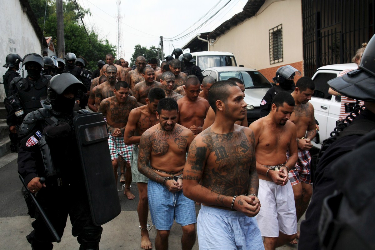 MS-13 Gang Members Behind Bars - Photos,Images,Gallery - 69032