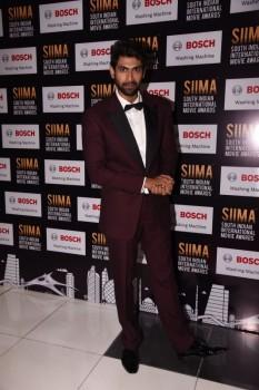 Rana Daggubati spotted at SIIMA Awards 2017.