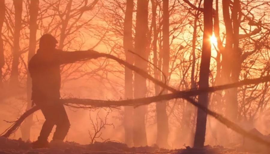 Check out the interesting photos from Thala Ajith's from Vivegam. Ajith,Thala Ajith,Vivegam,Vivegam song,Thalai Viduthalai,Thalai Viduthalai SONG,thalai viduthalai lyrics,thalai viduthalai vivegam,Ajith body,Ajith body pics,ajith in vivegam