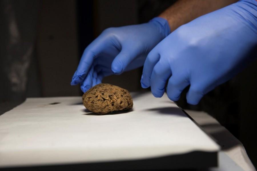 Archaeologists excavating a Spanish Civil War-era mass grave have found the naturally preserved brains of 45 people, eight decades after they were shot and buried on a hillside. Preserved brains,Spanish grave,Spanish Civil War