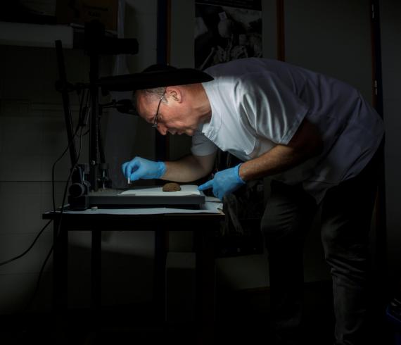 Archaeologists excavating a Spanish Civil War-era mass grave have found the naturally preserved brains of 45 people, eight decades after they were shot and buried on a hillside. Preserved brains,Spanish grave,Spanish Civil War