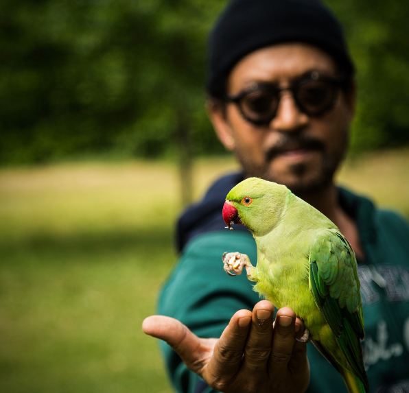 Irrfan's eldest son Babil played the perfect photographer who captured these beautiful moments with his camera. Babil loves photography and his love for it is clearly seen in the pictures that he has clicked during the vacations. Irrfan Khan,actor Irrfan Khan,Hollywood film Puzzle,Puzzle,Irrfan Khan vacations in London,Irrfan Khan in London