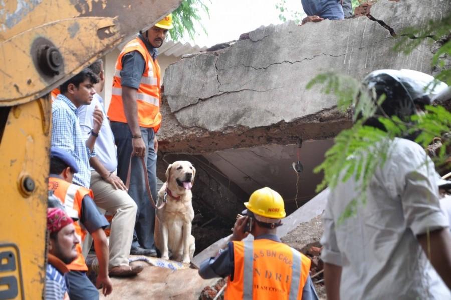 After meeting the victims and residents, Fadnavis assured strict action against those responsible. The owner of the ground floor of the building, Shiv Sena leader Sunil Shitap, who allegedly took renovation to convert his hospital to a guest house, was detained by the police. Mumbai building collapse,Mumbai building,building collapse,building crash