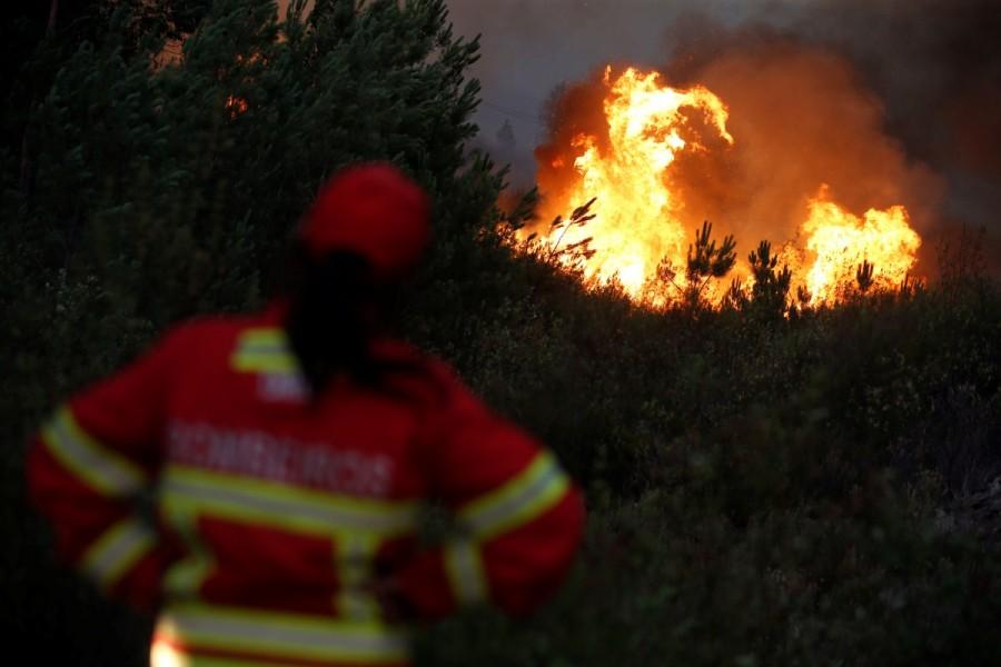 Firefighters work to put out a forest fire next to the village of Macao, near Castelo Branco. Portugal,Portugal battles raging wildfires,wildfires in Portugal,Portugal wildfires