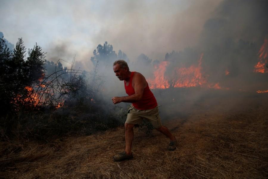 A villager works to put out a forest fire in the village of Brejo Grande, near Castelo Branco. Portugal,Portugal battles raging wildfires,wildfires in Portugal,Portugal wildfires