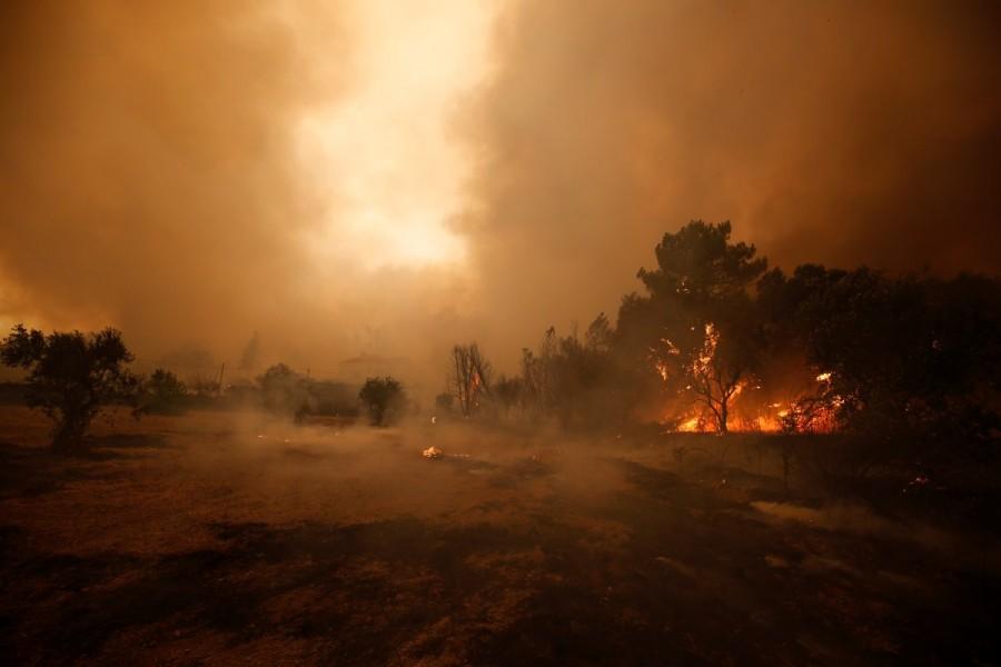 Flames of an approaching forest fire are seen in the village of Carvoeiro, near Castelo Branco. Portugal,Portugal battles raging wildfires,wildfires in Portugal,Portugal wildfires