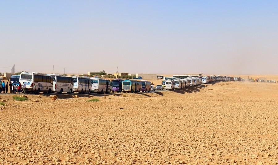 Buses carrying Syrian refugees and Nusra Front arrive in Hama, Syria. Syrians evacuate Lebanon border,Lebanon border camps,Syrian militants,Syrian militants and refugees,Syrian refugees,Nusra Front militants