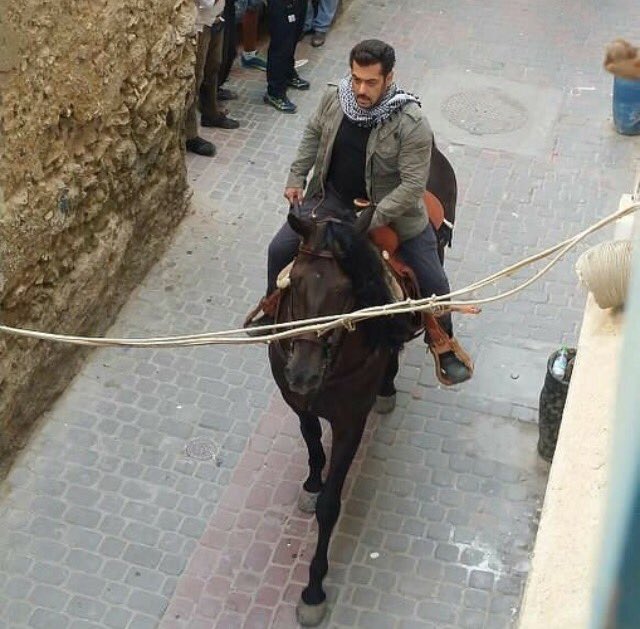 Bollywood superstar Salman Khan has started taking horse riding training for his upcoming film "Tiger Zinda Hai". Filmmaker Ali Abbas Zafar, who is directing the movie. Salman Khan,actor Salman Khan,Tiger Zinda Hai,Tiger Zinda Hai working stills,Tiger Zinda Hai working pics,Tiger Zinda Hai working images,Tiger Zinda Hai working photos,Tiger Zinda Hai working pictures