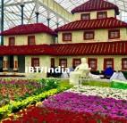 Biannual flower shows are organised every year in January and August on the occasion of the Republic Day and Independence Day, respectively.