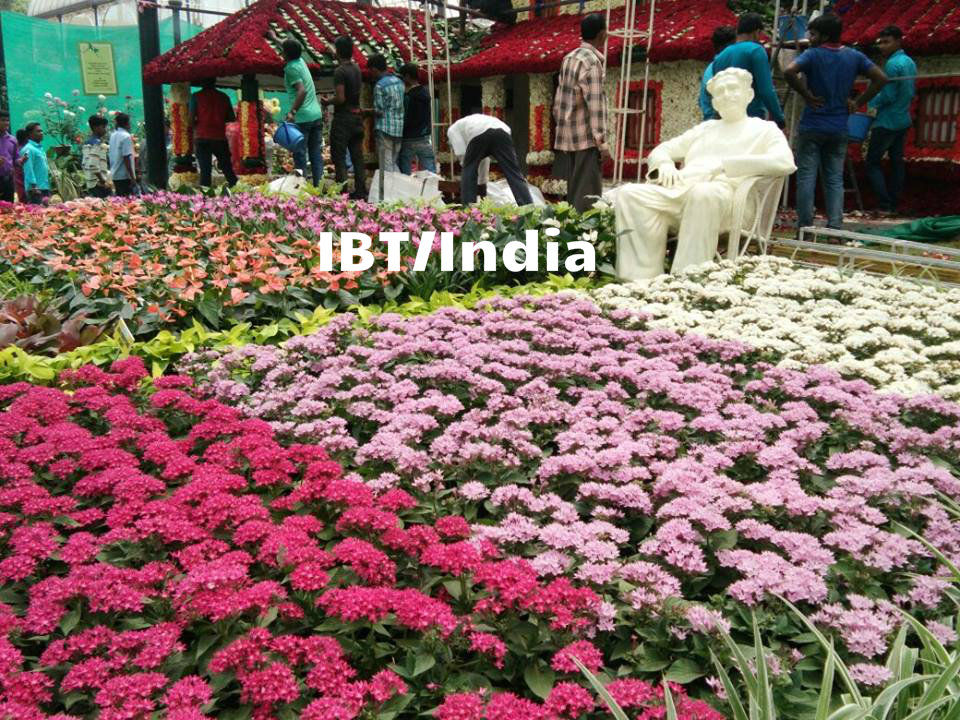 Another arrangement to woo the flower lovers. Lalbagh Flower show,Lalbagh Flower show 2017,Lalbagh Flower show pics,Lalbagh Flower show images,Lalbagh Flower show stills,Lalbagh Flower show pictures,Lalbagh Flower show phoots,Independence Day,Independence Day 2017