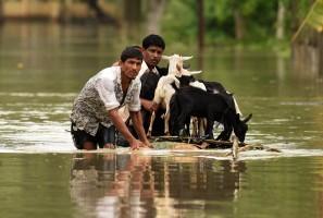 Monsoon floods across South Asia,floods across South Asia,monsoon rains in Nepal,Floods in Nepal,Floods in Bangladesh,Floods in India