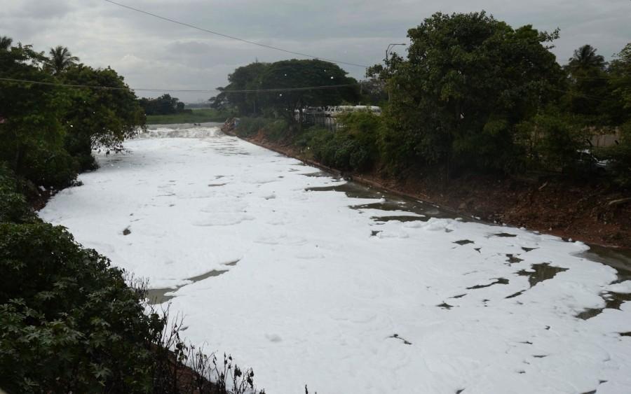 Bengaluru's Bellandur lake spills toxic foam again. Bengaluru's Bellandur Lake,Bellandur Lake,smoke at bellandur lake,bellandur lake foam,Bellandur Lake pollution,Bellandur Lake toxic foam