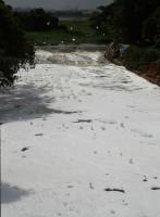 Bengaluru's Bellandur Lake,Bellandur Lake,smoke at bellandur lake,bellandur lake foam,Bellandur Lake pollution,Bellandur Lake toxic foam