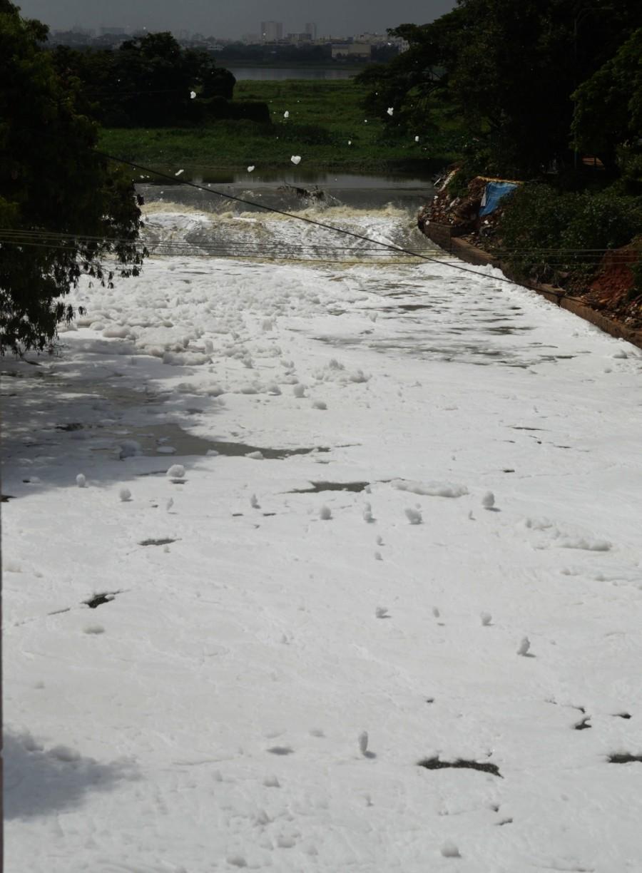 Bengaluru's Bellandur Lake Spills Toxic Foam Yet Again. Bengaluru's Bellandur Lake,Bellandur Lake,smoke at bellandur lake,bellandur lake foam,Bellandur Lake pollution,Bellandur Lake toxic foam