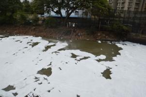 Bengaluru's Bellandur Lake,Bellandur Lake,smoke at bellandur lake,bellandur lake foam,Bellandur Lake pollution,Bellandur Lake toxic foam