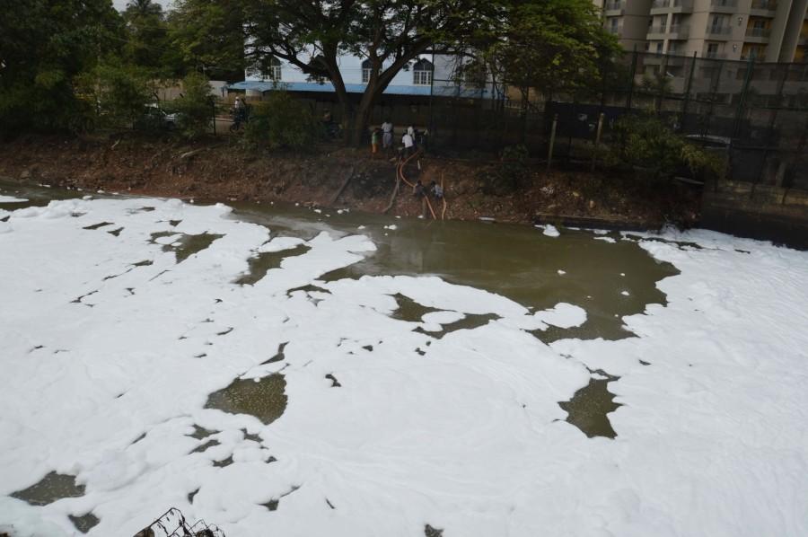 Bellandur Lake, the largest of the 262 lakes and tanks in Bengaluru, receives about 40 per cent of the city's sewage. Bengaluru's Bellandur Lake,Bellandur Lake,smoke at bellandur lake,bellandur lake foam,Bellandur Lake pollution,Bellandur Lake toxic foam