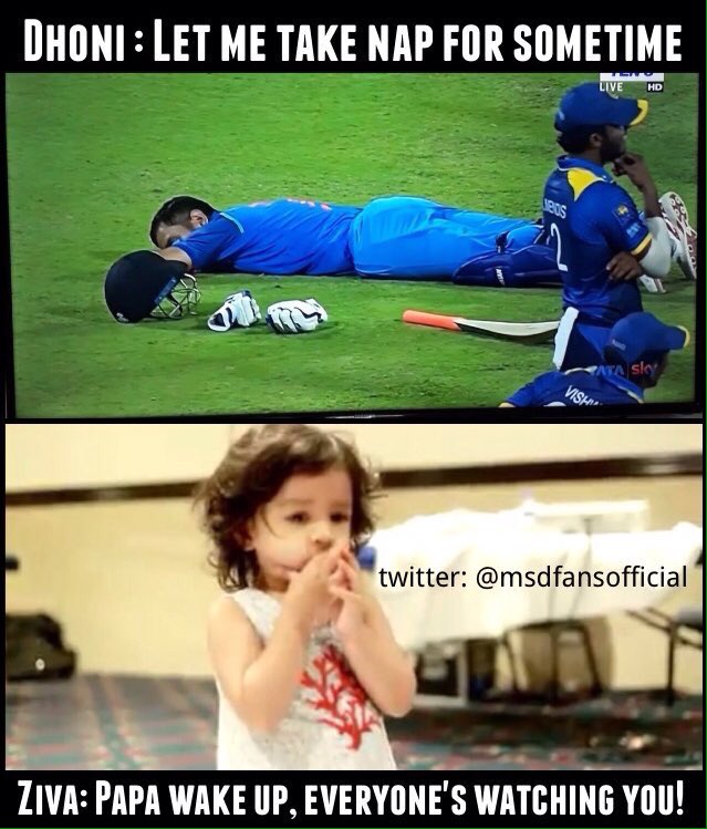 Captain Cool: MS Dhoni sleeps on field and Twitterati can’t stop loving him MS Dhoni,Dhoni sleeps on field,MS Dhoni memes,Dhoni memes,Dhoni funny memes,Captain Cool,captain cool dhoni