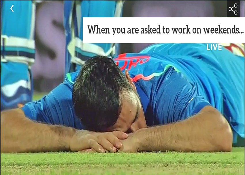 Captain Cool: MS Dhoni sleeps on field and Twitterati can’t stop loving him MS Dhoni,Dhoni sleeps on field,MS Dhoni memes,Dhoni memes,Dhoni funny memes,Captain Cool,captain cool dhoni