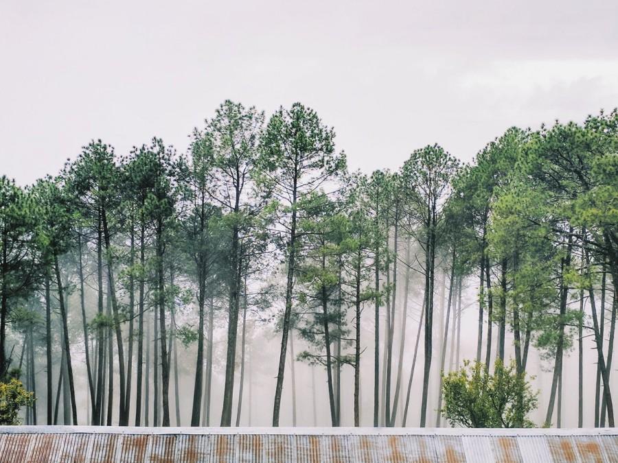 The regional Met office has issued an alert following a warning that the five districts of Udhamsingh Nagar, Paudi, Haridwar, Nainital, could receive rainfall between 65-200 mm in the next 24 hours. Many roads in the hilly areas were blocked due to landslides. Uttarakhand,heavy rain in Uttarakhand,Uttarakhand rain,Heavy rains batter Uttarakhand