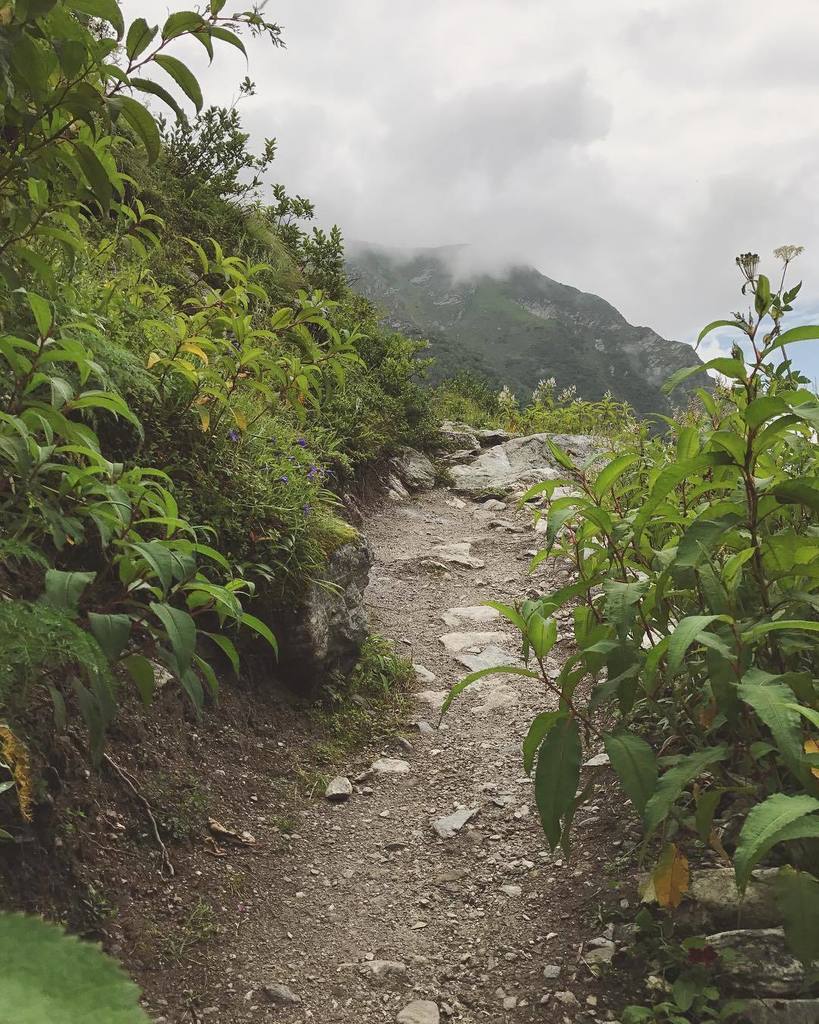 The Yamunotri highway has been completely blocked due to the falling of rocks near Syana Chatti in the Yamuna valley. Some five dozen locals and pilgrims were stranded and efforts are underway to rescue them. Uttarakhand,heavy rain in Uttarakhand,Uttarakhand rain,Heavy rains batter Uttarakhand