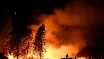 Fast-moving wildfire,wildfire,wildfire in Northern California,Northern California,California,California wildfire