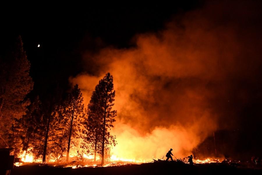 A firefighter battles the Ponderosa Fire east of Oroville. Fast-moving wildfire,wildfire,wildfire in Northern California,Northern California,California,California wildfire