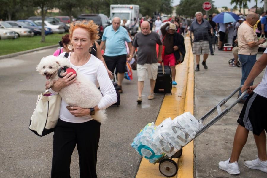 Residents carry their pets and belongings into a shelter in Estero. Hurricane Irma,Hurricane,Hurricane Irma in Florida,Hurricane in Florida,Florida,Florida Hurricane