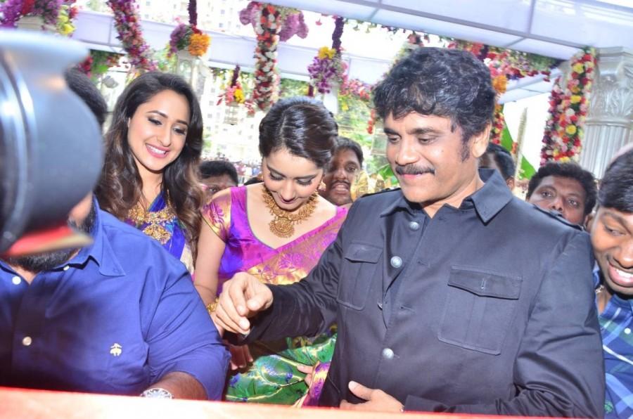 Nagarjuna launches South India Shopping Mall at Madinaguda. Nagarjuna,Raashi Khanna,Pragya Jaiswal,South India Shopping Mall,Nagarjuna Akkineni