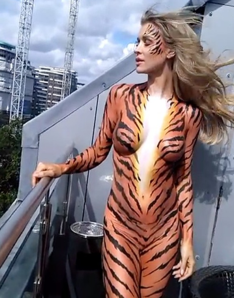 The 38-year-old showed off her toned physique as she held up a sign which revealed that she was working with PETA (People for the Ethical Treatment of Animals) to call for wild-animal circus ban on Monday, reports aceshowbiz.com. Joanna Krupa,Joanna Krupa nude,nude Joanna Krupa,Joanna Krupa bares all,Joanna Krupa in tiger bodypaint,Joanna Krupa tiger bodypaint,Joanna Krupa bodypaint