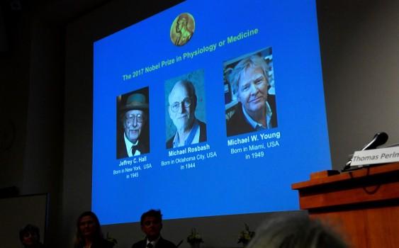 The names of Jeffrey C. Hall, Michael Rosbash and Michael W. Young are displayed during a news conference to announce the winner of the Nobel Prize in Physiology or Medicine in Stockholm. Their work helps explain how people experience jet lag when their internal circadian rhythms get out of sync, while also having wider implications for disorders ranging from insomnia to depression to heart disease. Chronobiology, or the study of biological clocks, is now a growing field of research thanks to the pioneering work of the three scientists, who explained the role of specific genes in keeping fruit flies in step with light and darkness. Today, scientists are exploring new treatments based on such circadian cycles, including establishing the best times to take medicines, and there is an increased focus on the importance of healthy sleeping patterns.