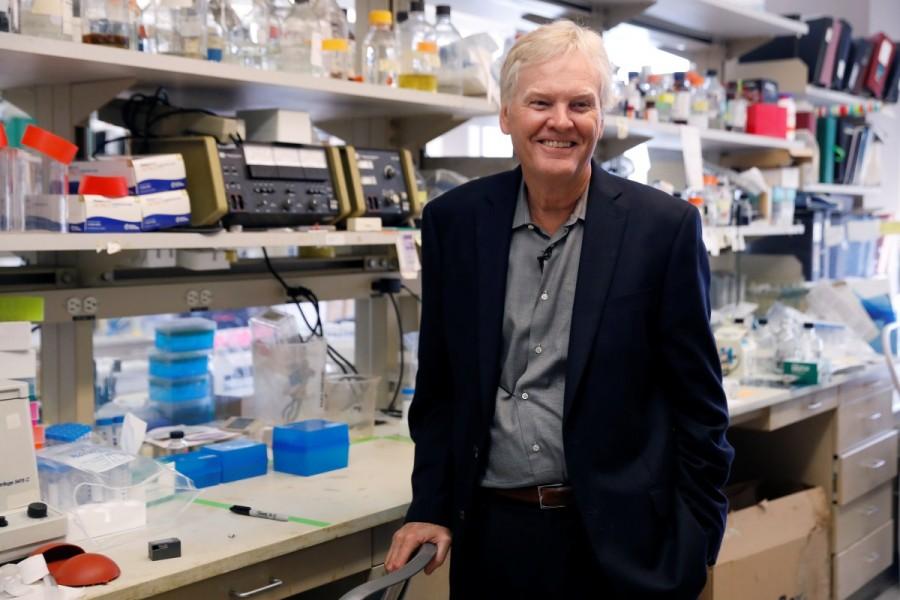 Michael W. Young poses for a portrait in one of his labs at The Rockefeller University in New York. In the mid-1980s, the three laureates used fruit flies to isolate a gene called period that controls the normal daily biological rhythm and showed how it encodes a protein called PER that accumulates in cells during the night and degrades during the day. Further research revealed the role of other genes in the complex system. "We were hopeful what we did in the fly would pertain more widely," Young said in news briefing at Rockefeller University on Monday, but added that "it has unfolded in a way that just couldn't be imagined at the beginning." Young said the trio could not have anticipated that the whole system could be revealed in their lifetimes, but new scientific tools helped accelerate the work. "Just like puzzle pieces, the genes fell out and the way they work together provided this beautiful mechanism that we now appreciate." Nobel prizes,Science,Science prizes,People in science,Biology,Michael Rosbash,Jeffrey C Hall,Michael W Young,Nobel prize,Nobel prize 2017,Nobel prize winner,Nobel prize 2017 winner