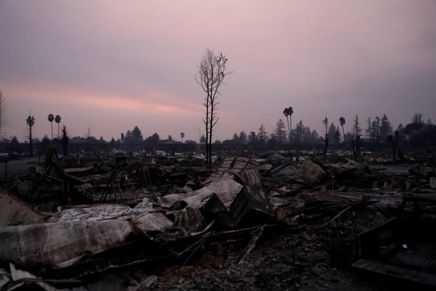 A burnt tree stands amidst the destroyed Journey's End Mobile Home Park during the Tubbs Fire in Santa Rosa. California,California landscape,Tubbs Fire,Sonoma and Napa counties