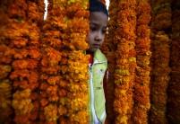 A boy stands in between the garlands kept on sale along the streets of Kathmandu during the Tihar festival, also called Diwali, in Kathmandu, Nepal.